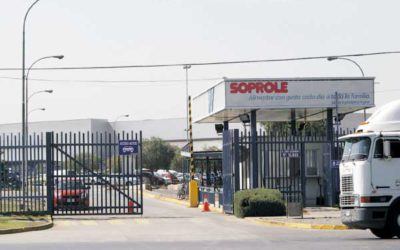 Luz verde a la compra de Soprole: FNE autoriza toma del control por el grupo peruano Gloria Foods