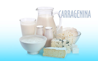 La importancia de la carrageninas en la industria de los lácteos